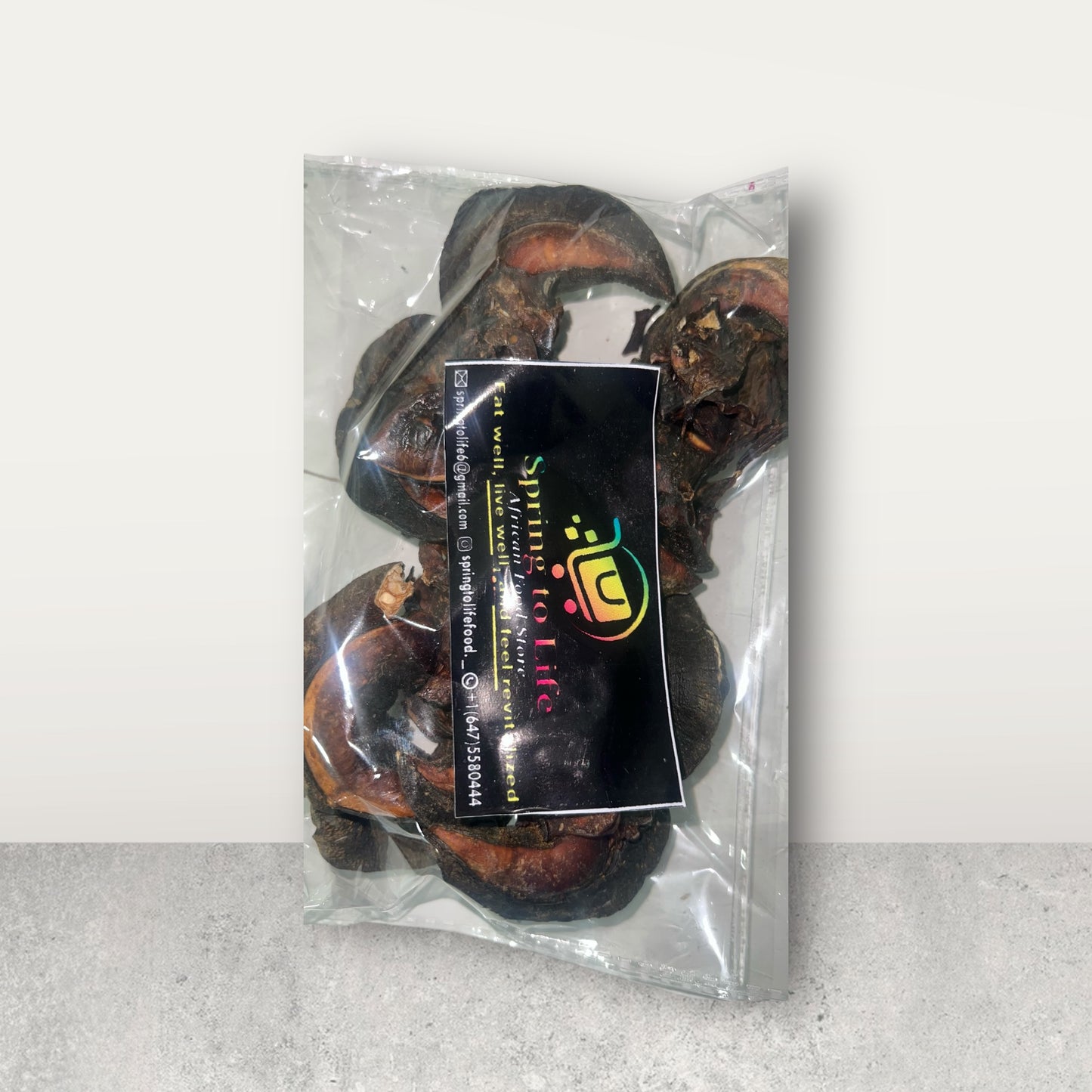 Dried Jumbo-sized Snails- (5pcs)