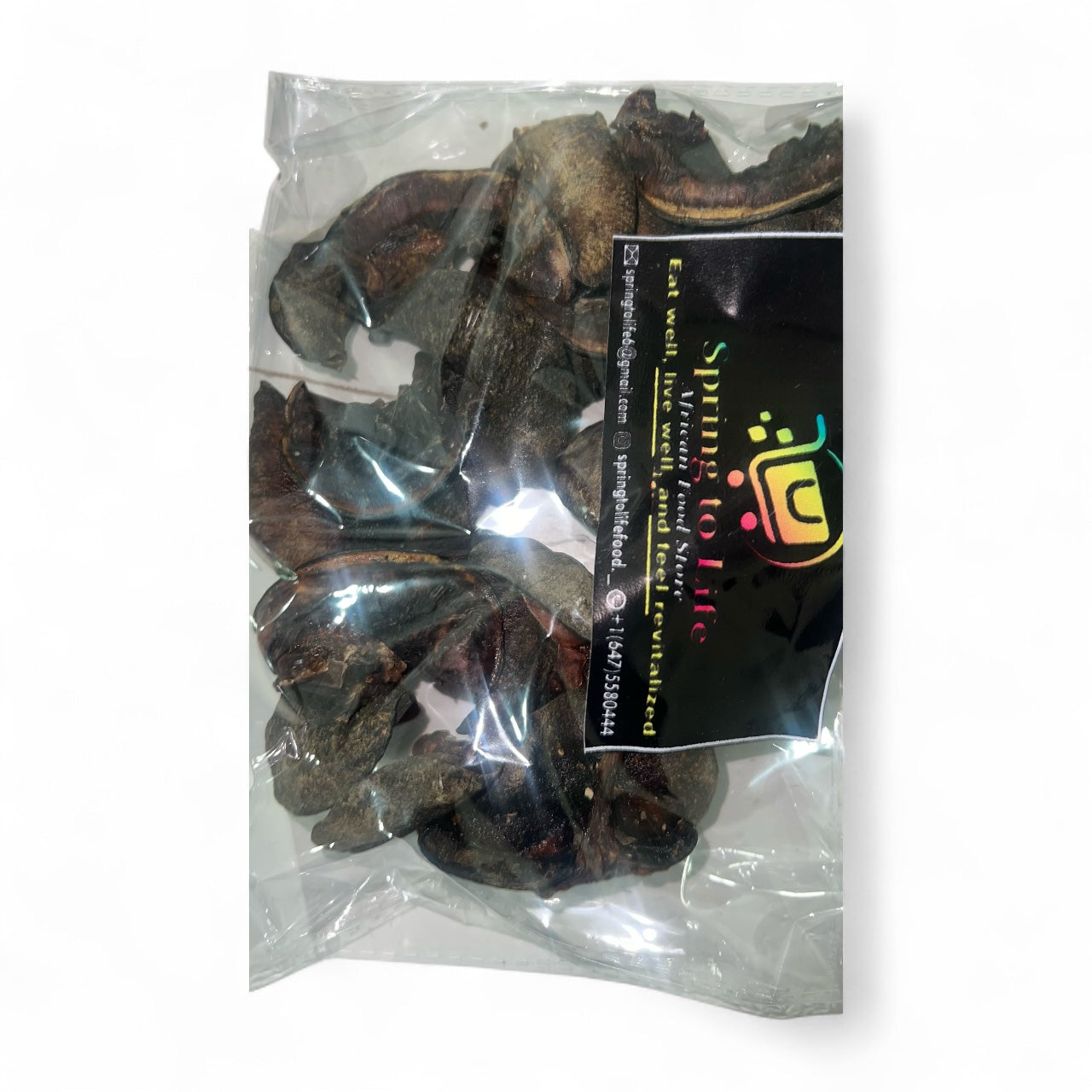 Dried Large-Sized Snails- (8pcs)